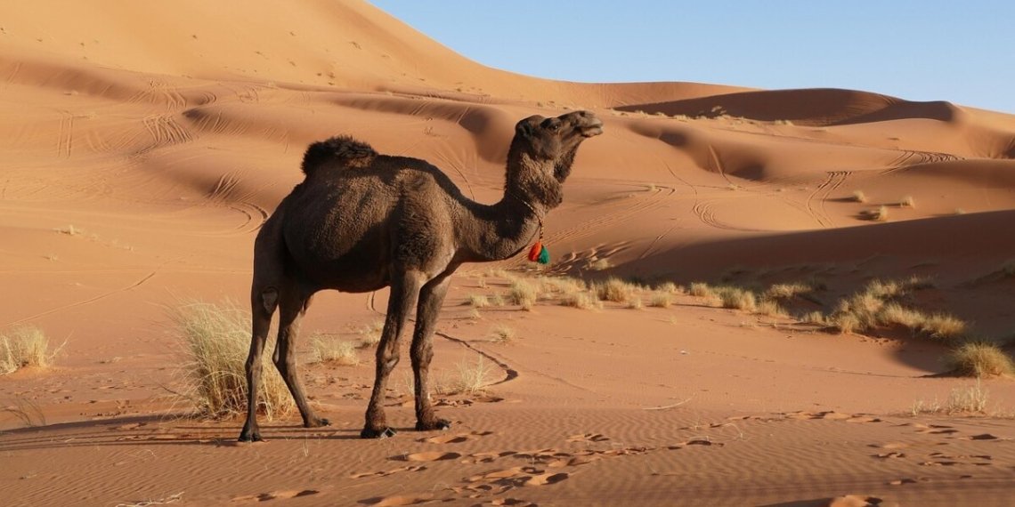 Marruecos