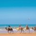 excursión a Essaouira desde Marrakech