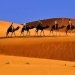 Tour desierto Marruecos 3 días