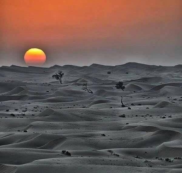 Tour Marrakech al Desierto 6 días