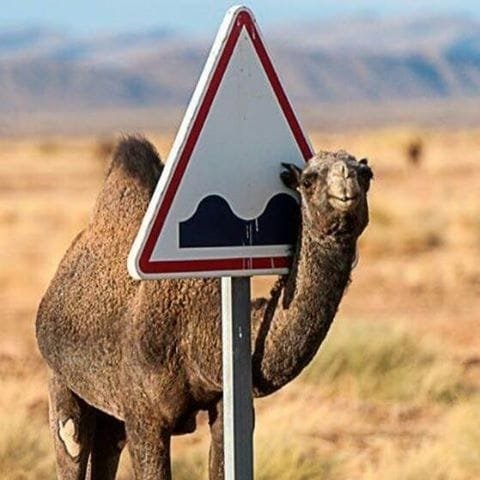 Tour Marrakech al Desierto 6 días