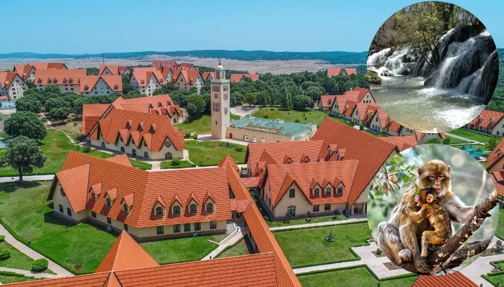 Excursión a Ifrane desde Fez