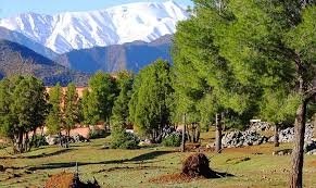 Excursión a Azrou desde Fez
