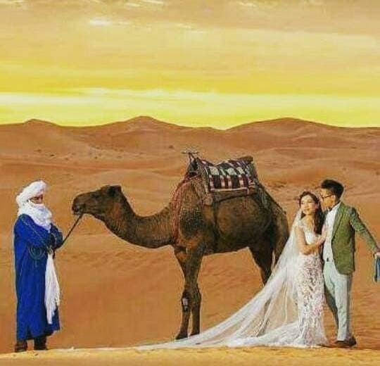 Contacto Turismo a Marruecos