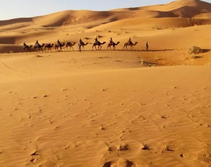 Contacto Turismo a Marruecos