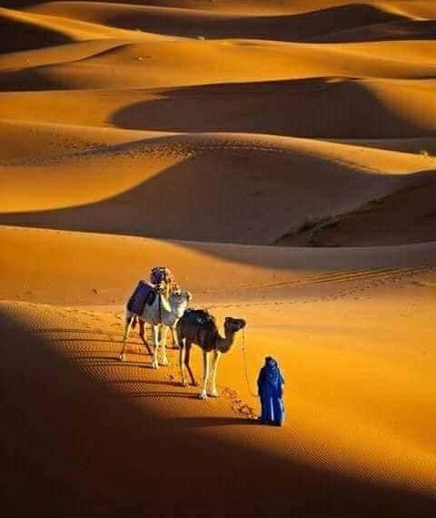 Contacto Turismo a Marruecos
