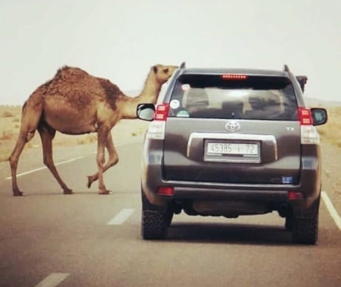 Viajes personalizados a Marruecos