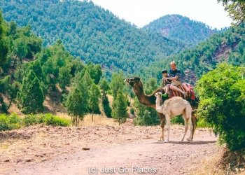 excursión privada al Valle de Ourika