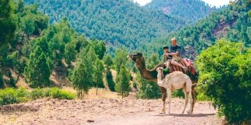 excursión privada al Valle de Ourika