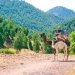 excursión privada al Valle de Ourika