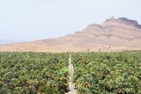 Tour Marrakech Zagora 2 días