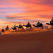 Erg Chebbi Desierto