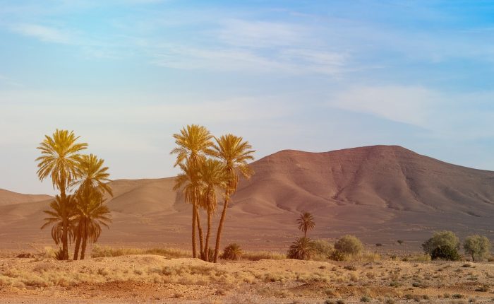 6 Días de Tanger al Desierto