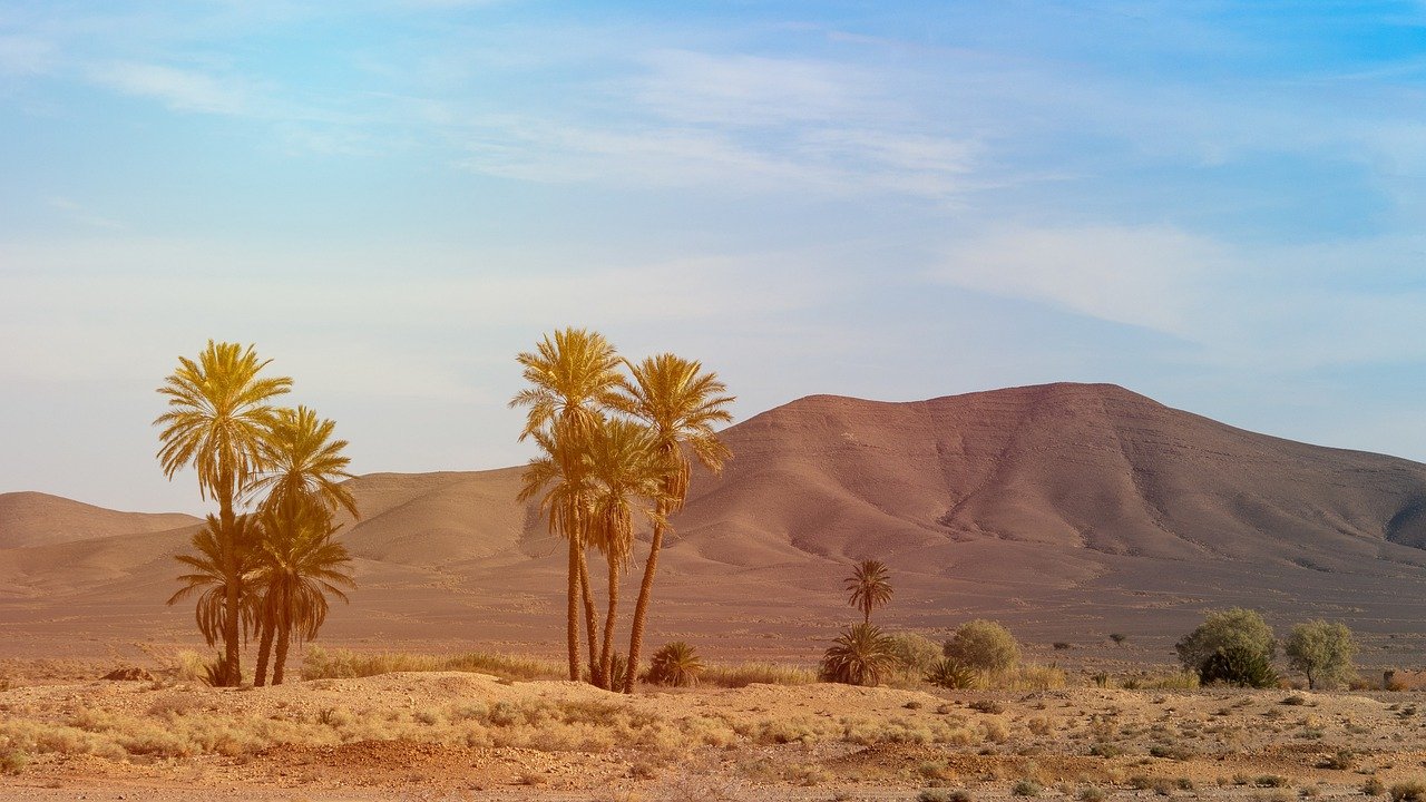 viaje desde Marrakech al desierto del Sahara