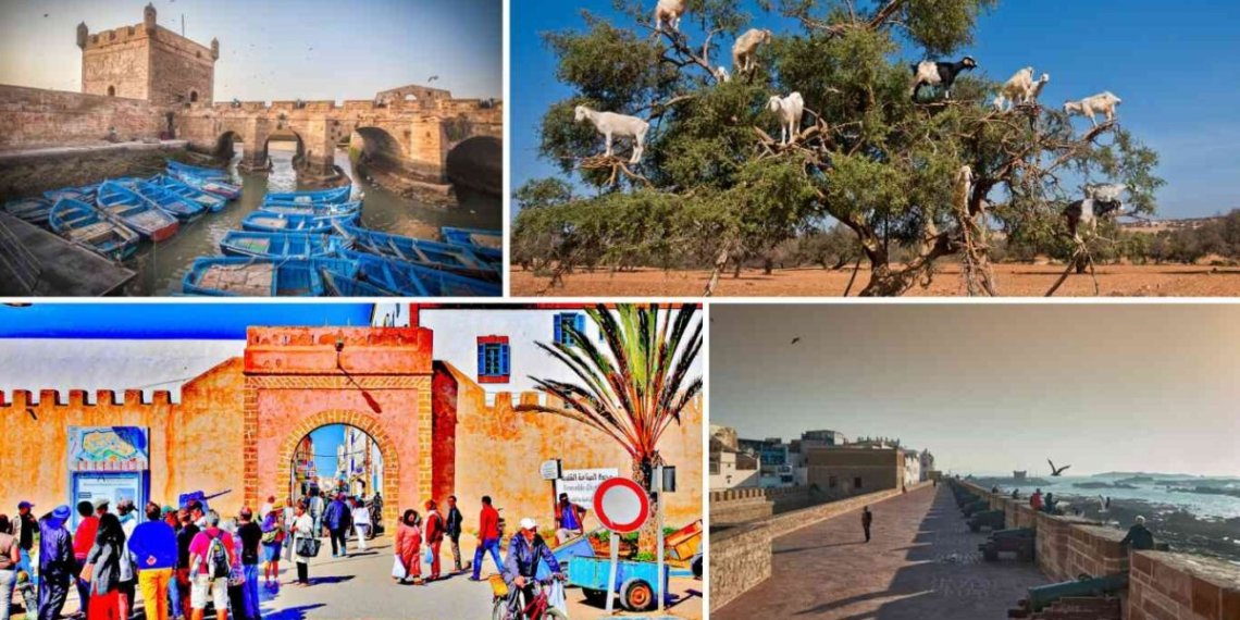 3 Días desde Agadir a Marrakech y Essaouira