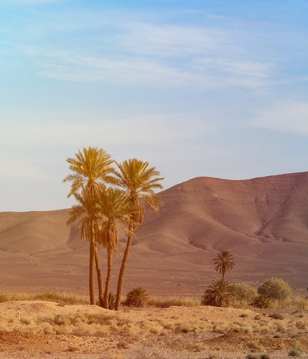 5 Días de Marrakech al Desierto
