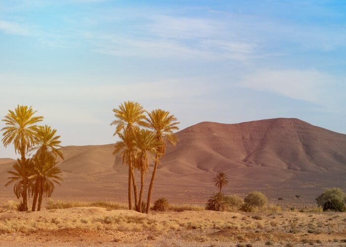5 Días de Marrakech al Desierto