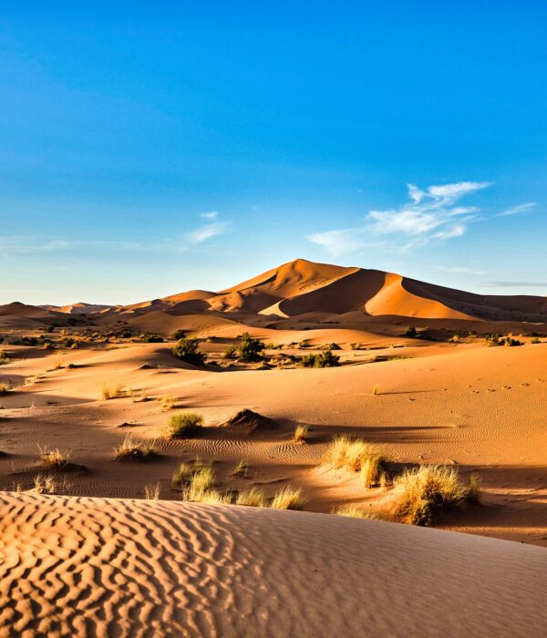 5-Day Tour from Casablanca to the Merzouga Desert