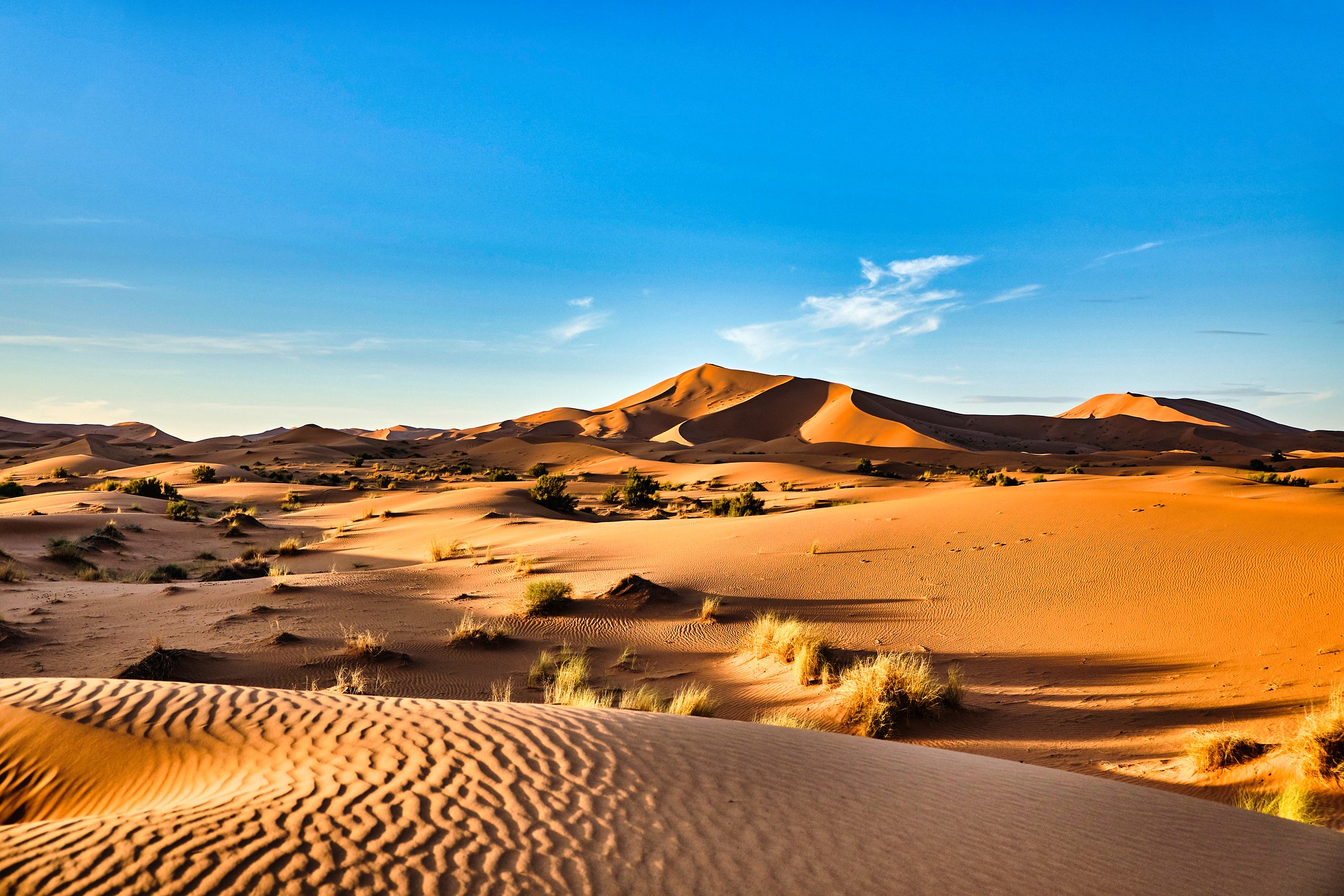 5-Day Tour from Casablanca to the Merzouga Desert