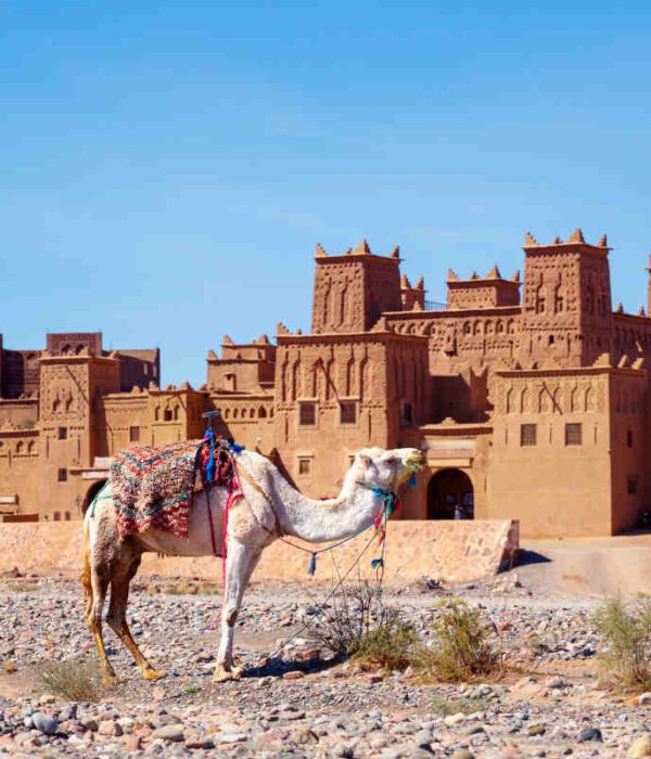 4-Day Desert Tour from Marrakech
