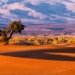 4 Días desde Agadir al Desierto de Zagora