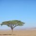 6 Días desde Agadir al Desierto de Merzouga
